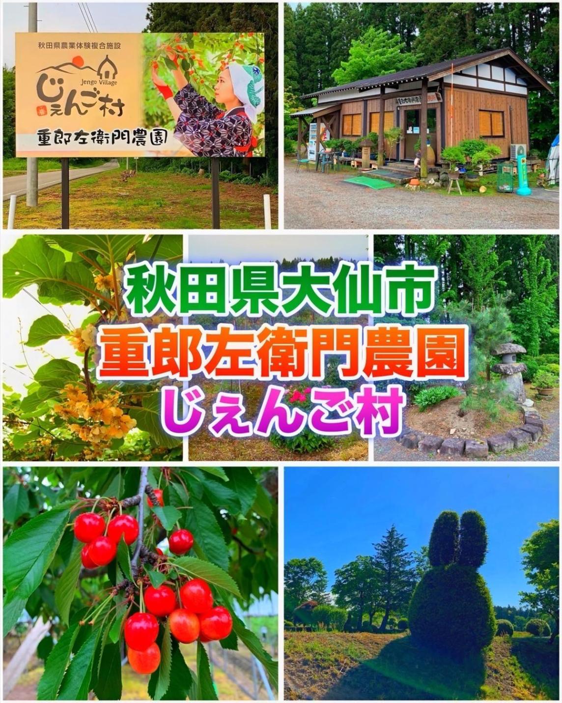 Hotel Dolphia-Adult Only Daisen  Buitenkant foto