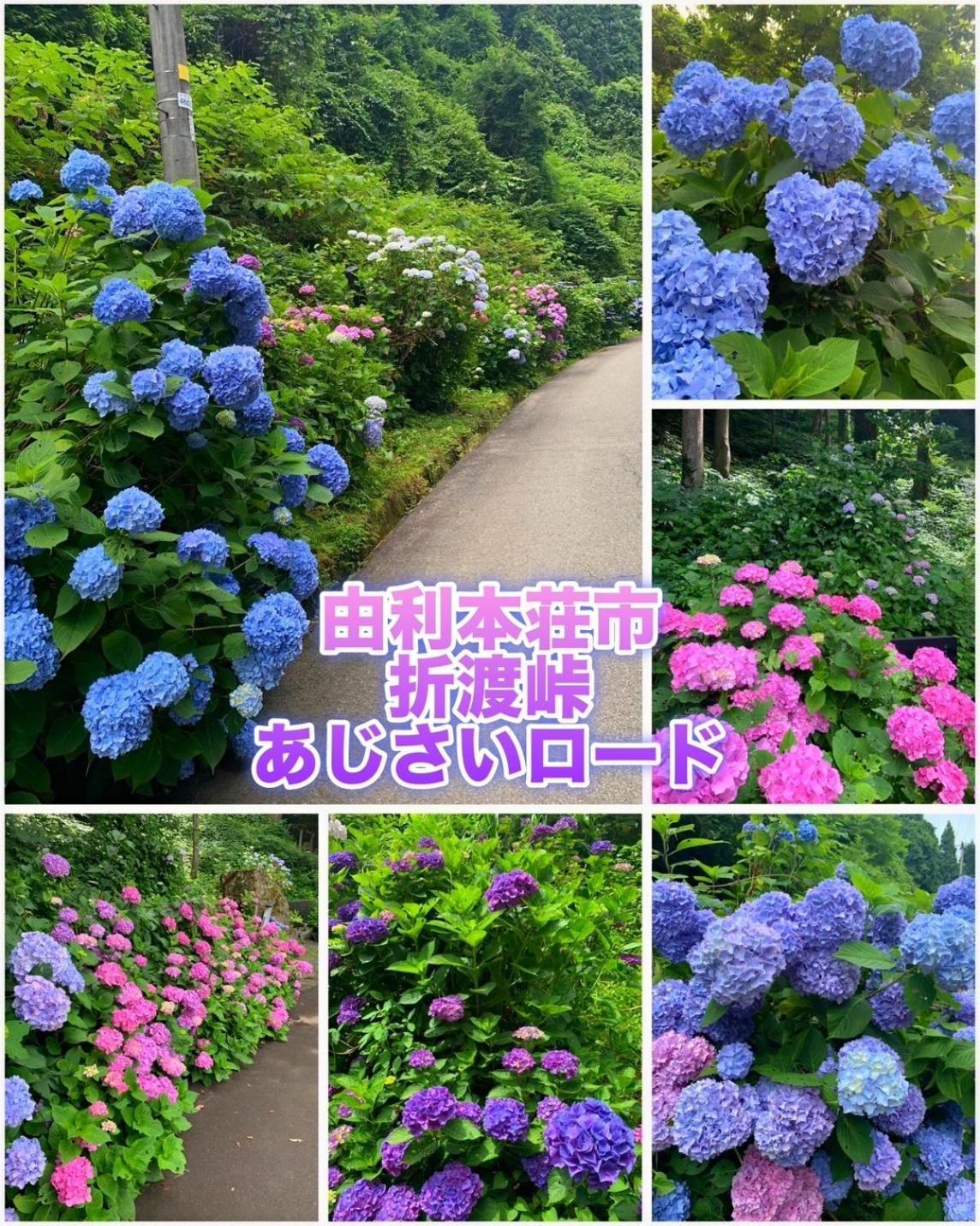 Hotel Dolphia-Adult Only Daisen  Buitenkant foto