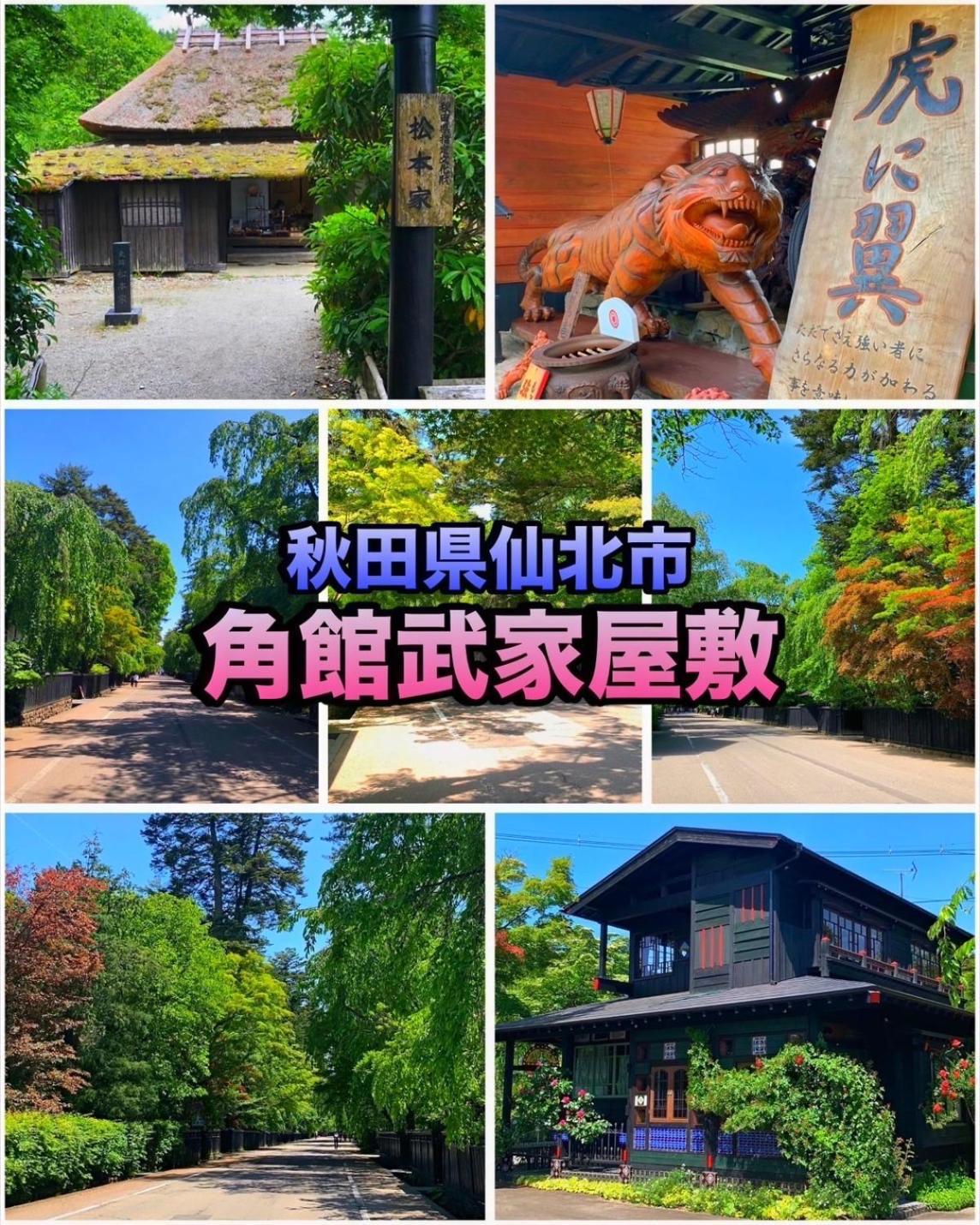 Hotel Dolphia-Adult Only Daisen  Buitenkant foto